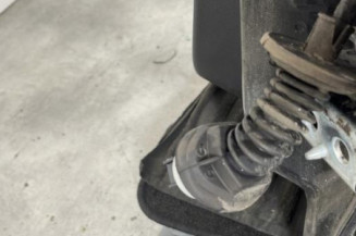 Porte arriere gauche CITROEN C3 3