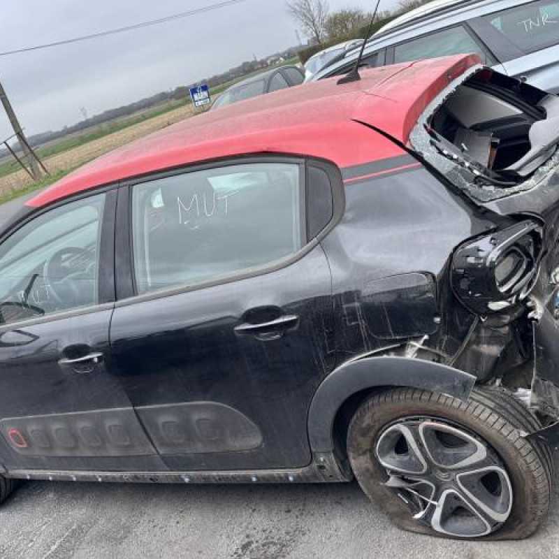 Porte arriere gauche CITROEN C3 3 Photo n°13