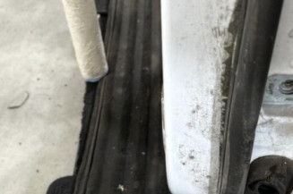 Porte arriere gauche FORD C-MAX 2