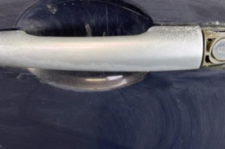 Porte avant gauche RENAULT MODUS