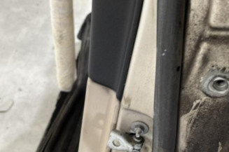 Porte arriere gauche ROVER 75