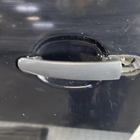 Porte avant gauche VOLKSWAGEN FOX