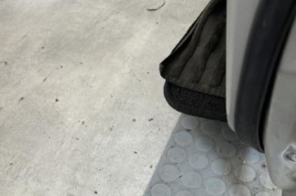 Porte avant gauche TOYOTA YARIS 1