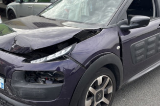 CITROEN C4 CACTUS 1.6 BLUE HDI - 8V TURBO Photo n°1