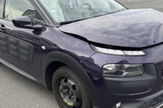 CITROEN C4 CACTUS 1.6 BLUE HDI - 8V TURBO