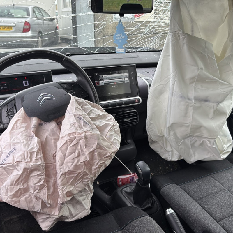 CITROEN C4 CACTUS 1.6 BLUE HDI - 8V TURBO Photo n°19