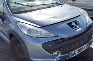 Tambour arriere gauche PEUGEOT 207