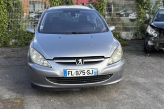 Custode avant gauche (porte) PEUGEOT 307