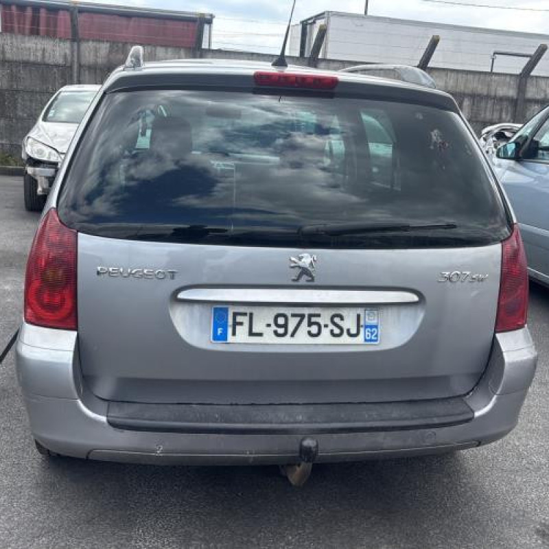 Custode avant gauche (porte) PEUGEOT 307 Photo n°20