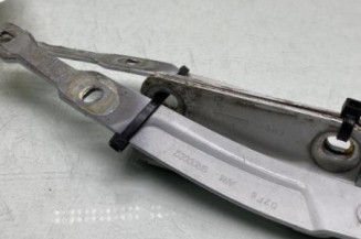 Charniere de capot DACIA SANDERO 2 Photo n°1