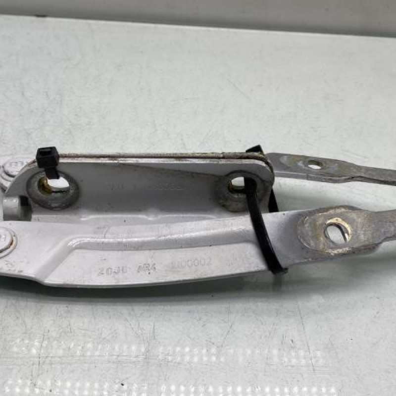 Charniere de capot DACIA SANDERO 2 Photo n°2