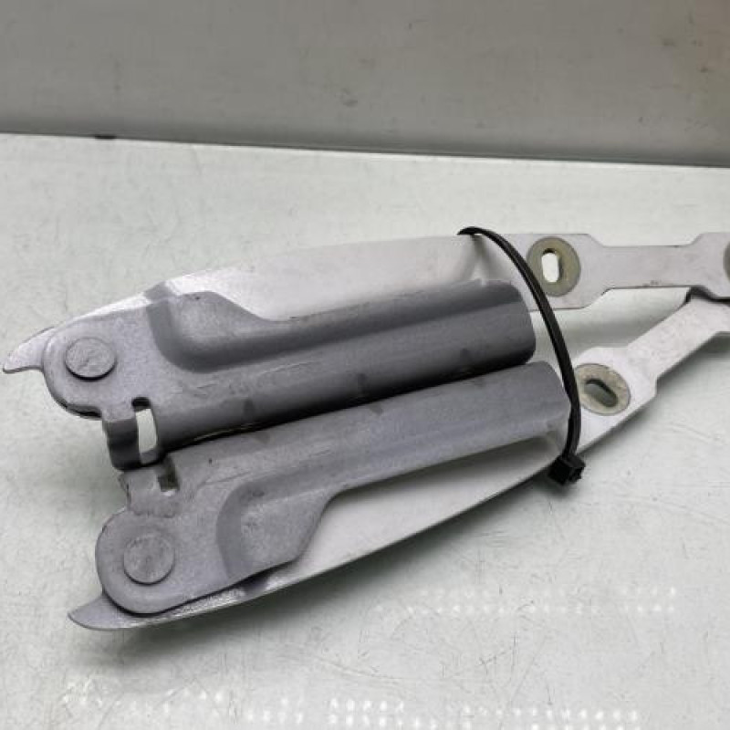 Charniere de capot DACIA SANDERO 2 Photo n°3