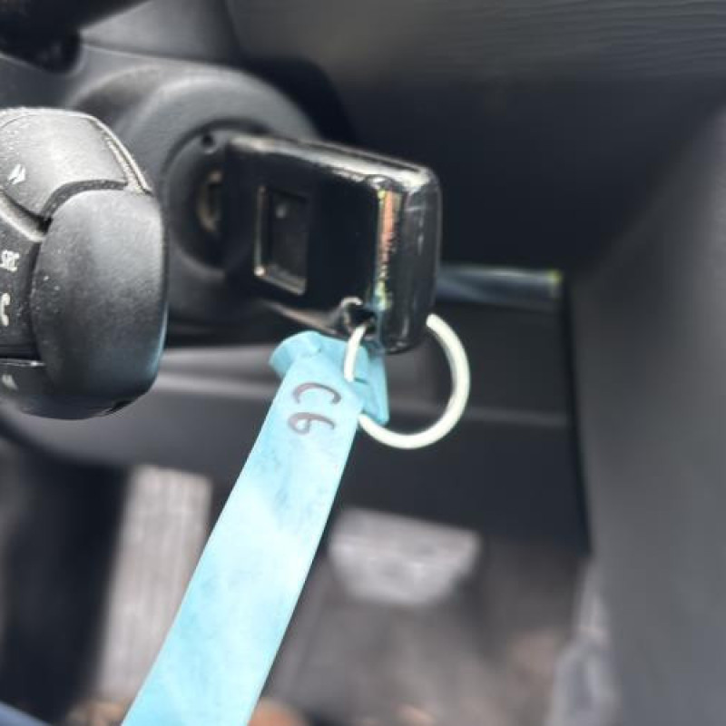 Porte arriere gauche CITROEN C6 Photo n°20