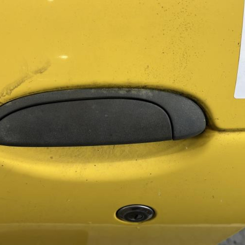 Porte avant gauche RENAULT MEGANE 1 Photo n°2