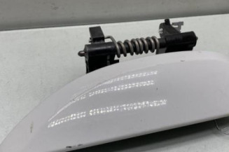 Poignee porte arriere gauche DACIA SANDERO 2 Photo n°1