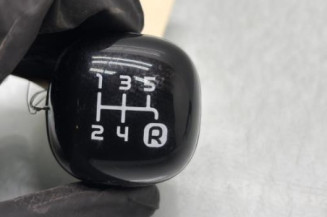 Pommeau de vitesses FIAT PANDA 3 Photo n°1