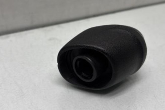 Pommeau de vitesses RENAULT MEGANE 4