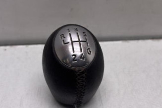 Pommeau de vitesses DACIA DUSTER 1 Photo n°1