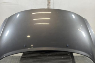 Capot PEUGEOT 207 Photo n°1