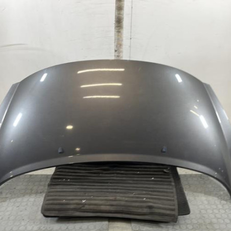 Capot PEUGEOT 207 Photo n°1