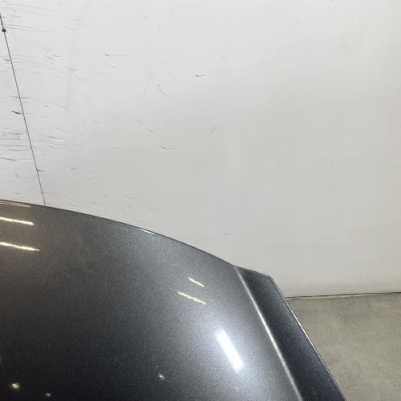 Capot PEUGEOT 207 Photo n°4