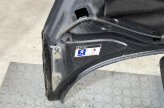 Capot PEUGEOT 207
