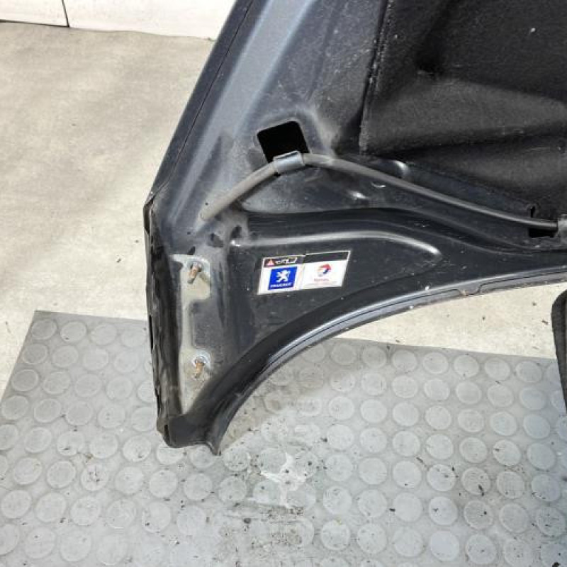 Capot PEUGEOT 207 Photo n°8