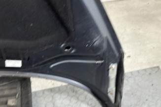 Capot PEUGEOT 207