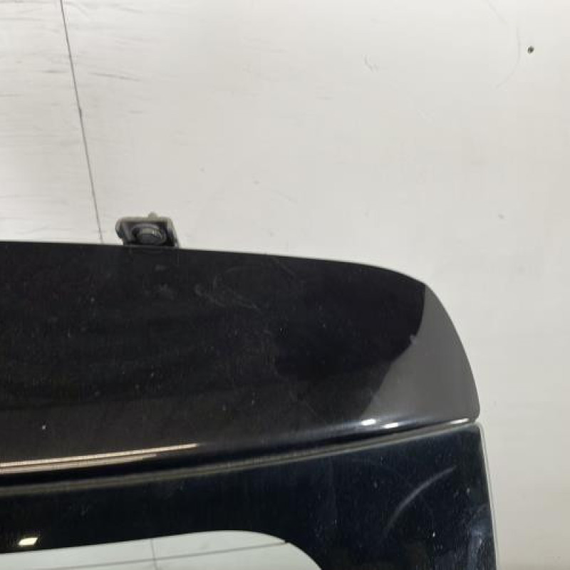 Malle/Hayon arriere DACIA SANDERO 2 Photo n°3