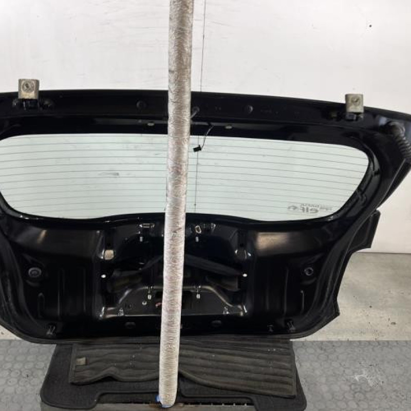 Malle/Hayon arriere DACIA SANDERO 2 Photo n°10