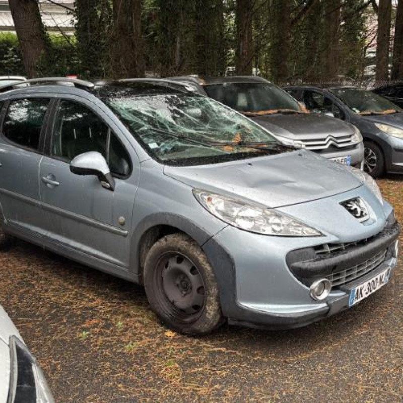 Porte arriere droit PEUGEOT 207 Photo n°5