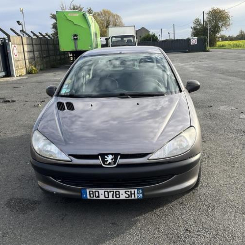 Leve vitre electrique avant droit PEUGEOT 206 Photo n°7