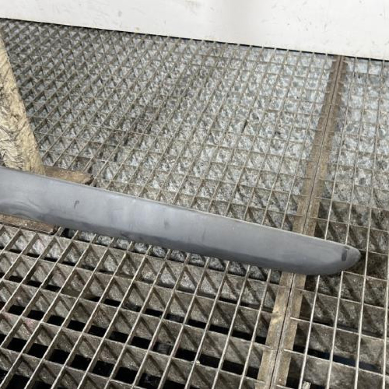 Baguette de porte arriere gauche  RENAULT MODUS Photo n°3