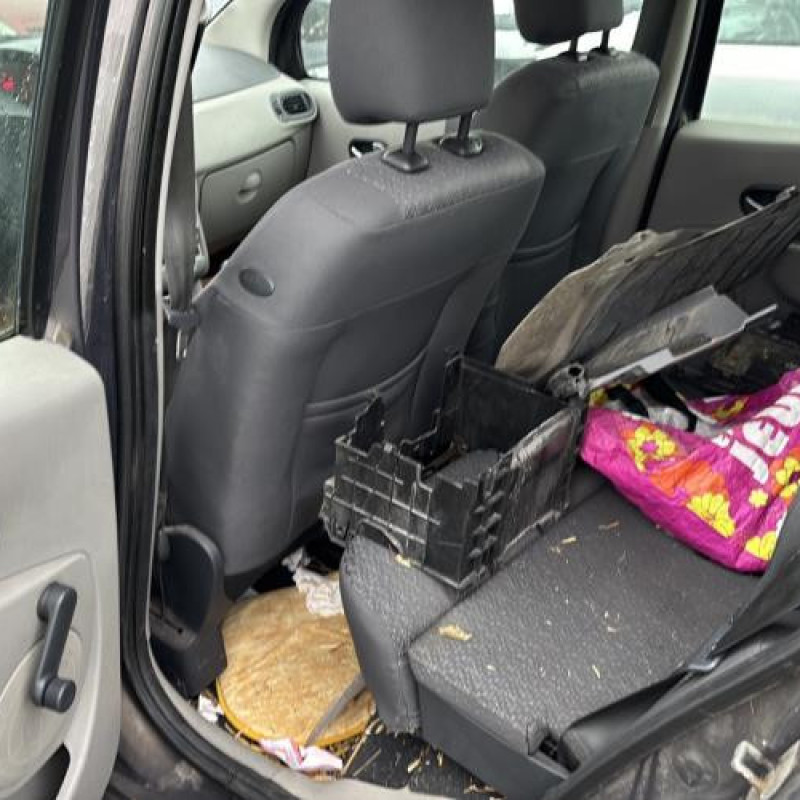 Baguette de porte arriere gauche  RENAULT MODUS Photo n°14