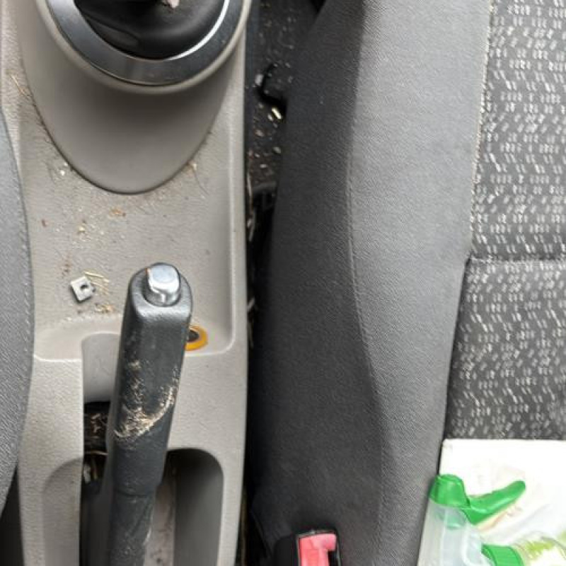 Baguette de porte arriere gauche  RENAULT MODUS Photo n°19