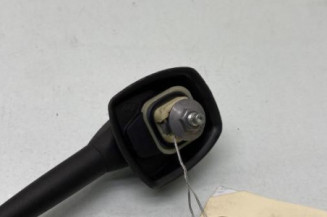 Antenne DACIA SANDERO 2