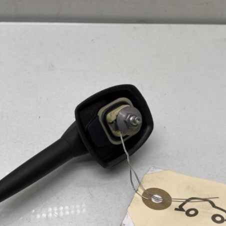 Antenne DACIA SANDERO 2