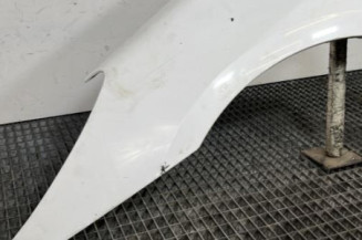 Aile avant gauche PEUGEOT 307
