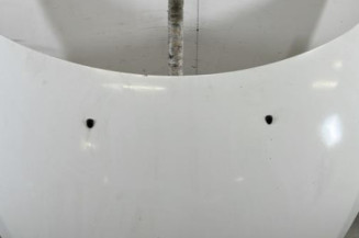 Capot PEUGEOT 307 Photo n°1