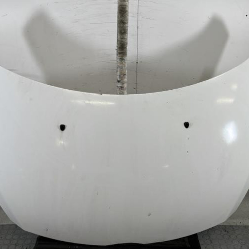 Capot PEUGEOT 307 Photo n°1