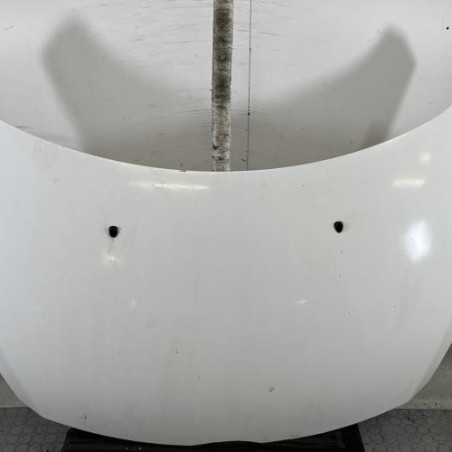 Capot PEUGEOT 307 Photo n°1