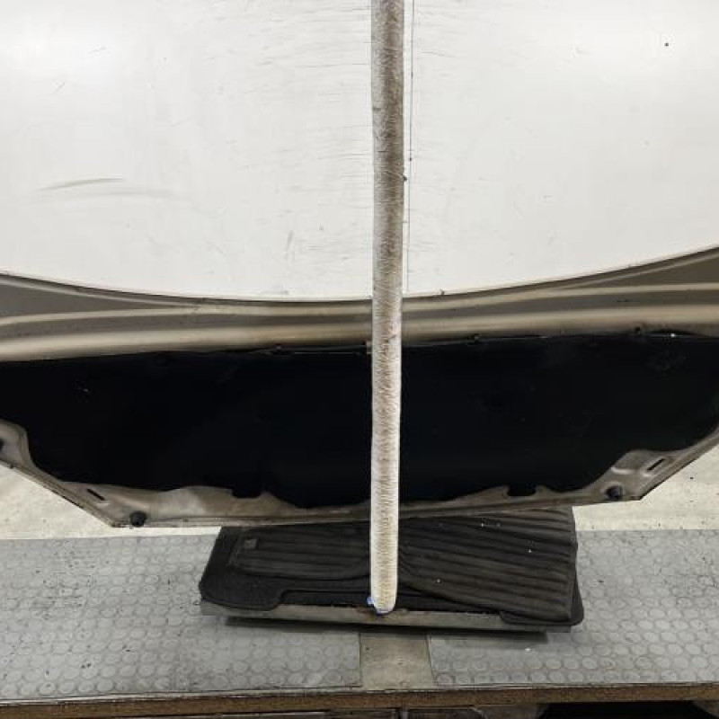 Capot PEUGEOT 307 Photo n°9