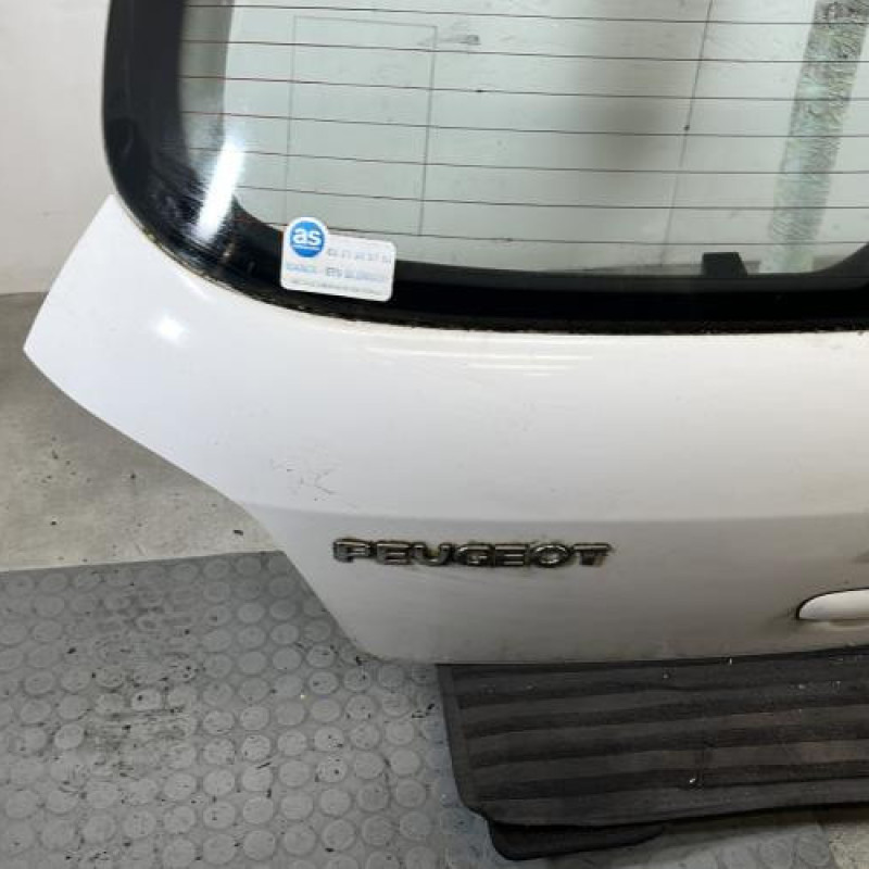 Malle/Hayon arriere PEUGEOT 307 Photo n°5