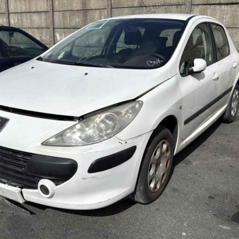 Malle/Hayon arriere PEUGEOT 307 Photo n°12