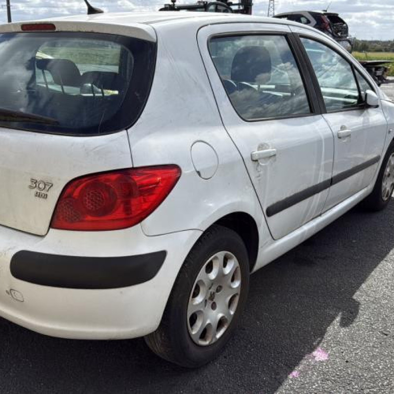 Malle/Hayon arriere PEUGEOT 307 Photo n°14
