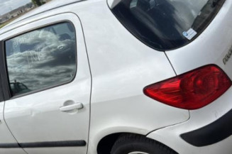 Malle/Hayon arriere PEUGEOT 307