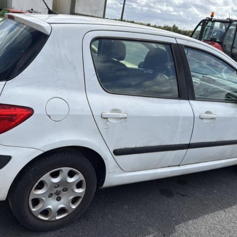 Malle/Hayon arriere PEUGEOT 307 Photo n°18