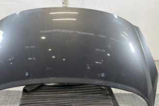 Capot PEUGEOT 207 Photo n°1