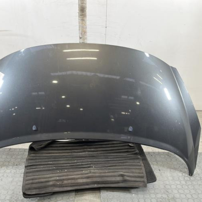 Capot PEUGEOT 207 Photo n°1