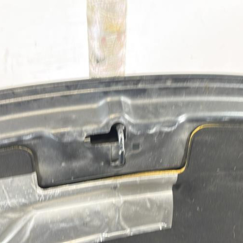 Capot PEUGEOT 207 Photo n°6